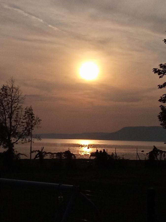 Balatonboglar - Golden Bridge Apartments エクステリア 写真